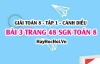 Giải bài 3 trang 48 Toán 8 Tập 1 SGK Cánh Diều